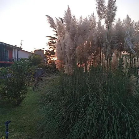 Gioiasulgarda